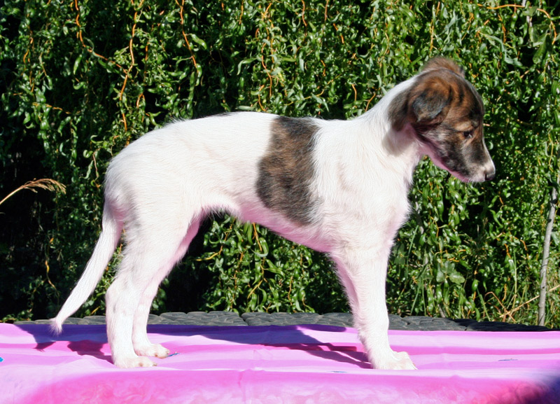 Surf Spots - Girl 1 Right